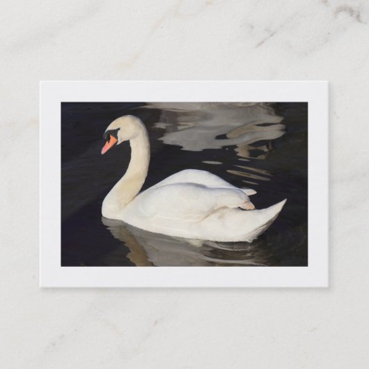 Mute Swan II (rand) Visitekaartje (Voorkant)