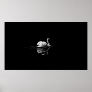 MUTE SWAN IN LAGE LICHTE FOTOGRAFIE POSTER