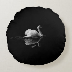 MUTE SWAN IN LAGE LICHTE FOTOGRAFIE ROND KUSSEN