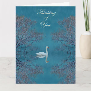 Mute Swan Kaart