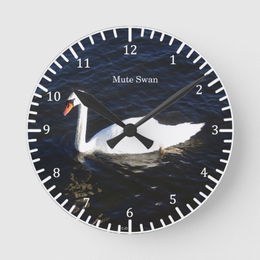 Mute Swan-klok Ronde Klok (Voorkant)