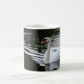 Mute Swan Koffiemok (Center)