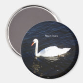 Mute Swan magnet (Voorkant / Achterkant)