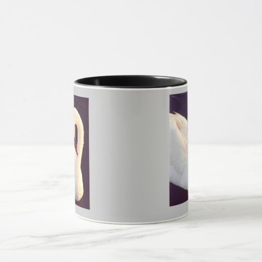 Mute Swan Mok (Midden)