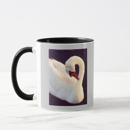 Mute Swan Mok (Links)