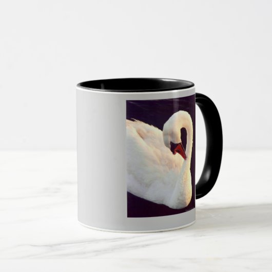 Mute Swan Mok (Voorkant rechts)