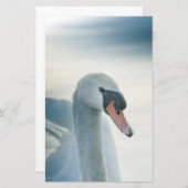 Mute Swan Natuur Foto Briefpapier (Voorkant / Achterkant)