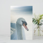 Mute Swan Natuur Foto Briefpapier (Staand voorkant)