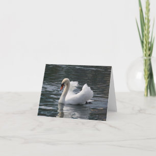 Mute Swan Photo Folded Note Kaart