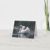 Mute Swan Photo Folded Note Kaart (Voorkant)