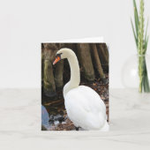 Mute Swan Photo Folded Note Kaart (Voorkant)