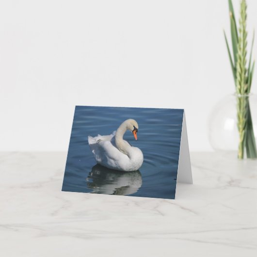 Mute Swan Photo Folded Note Kaart (Voorkant)