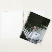 Mute Swan Planner (Display)
