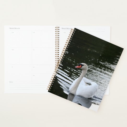 Mute Swan Planner (Display)