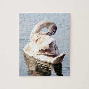 Mute Swan Preening Legpuzzel