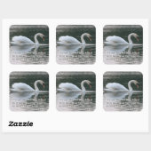 Mute Swan Sticker (Vel)