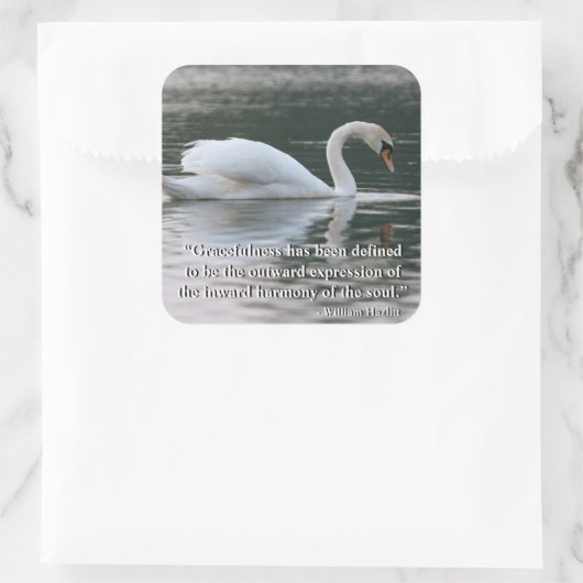 Mute Swan Sticker (Tas)