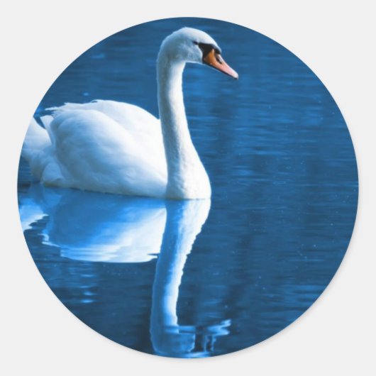 Mute Swan Stickers (Voorkant)