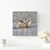 Mute Swan Wildlife Waterfowl Foto Vierkante Klok (Huis)