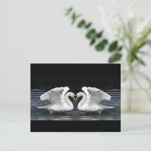 Mute White Swan Photo Mirror Afbeelding Effect Briefkaart (Staand voorkant)