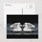 Mute White Swan Photo Mirror Afbeelding Effect Briefkaart (Voorkant / Achterkant)