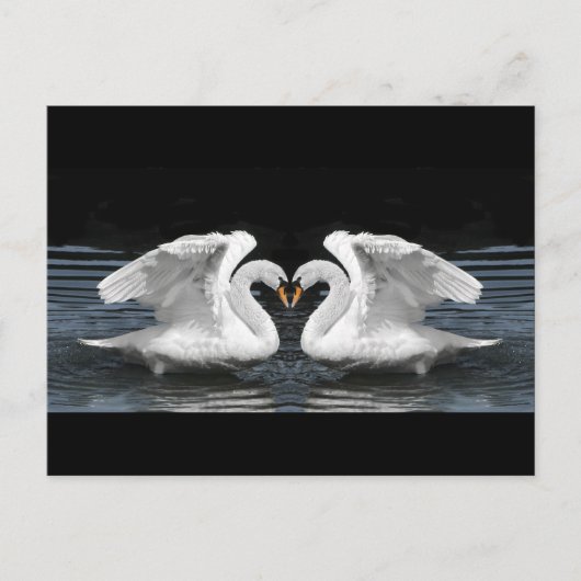 Mute White Swan Photo Mirror Afbeelding Effect Briefkaart (Voorkant)