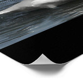 Mute White Swan Photo Mirror Afbeelding Effect Poster (Hoek)