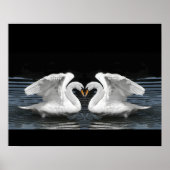 Mute White Swan Photo Mirror Afbeelding Effect Poster (Voorkant)