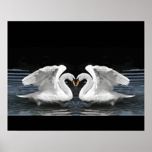 Mute White Swan Photo Mirror Afbeelding Effect Poster (Voorkant)