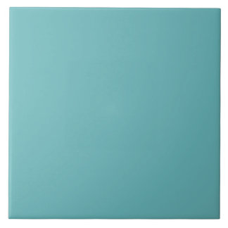 Muted Aqua Ceramic Tile Tegeltje