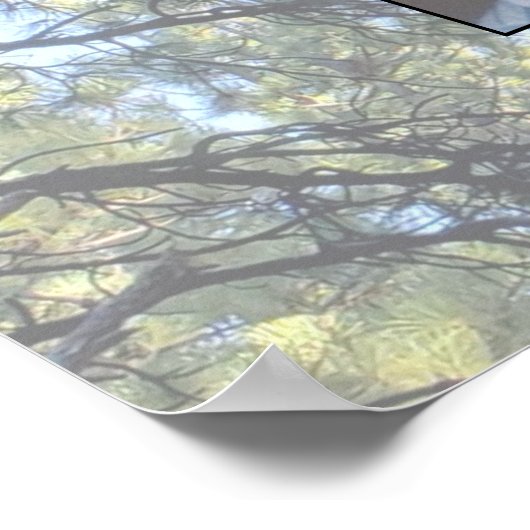 Muted Pine Tree Forest Photo with Two Family Trees Poster (Hoek)
