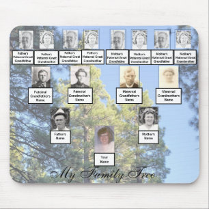 Muted Tall Pine Trees Family Tree foto's Muismat