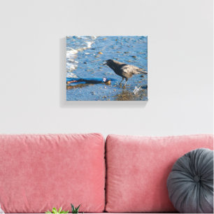 Mutiny Bay Kraai Tak Blauw Water Fotografie Canvas Afdruk