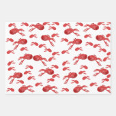 Mutli-Crawfish rapping Paper (Voorkant 3)