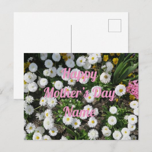 muttertag, kleine weiße frühlingsblume rosa schrif briefkaart (Voorkant / Achterkant)