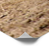 Mutton Buster Tries His Mettle Poster (Hoek)