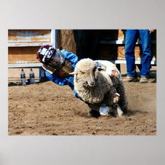 Mutton Buster Tries His Mettle Poster