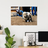 Mutton Buster Tries His Mettle Poster (Thuiskantoor)