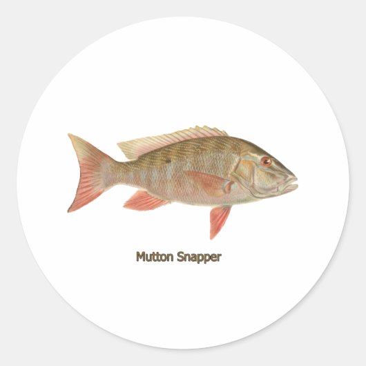 Mutton Snapper illustratie Ronde Sticker (Voorkant)