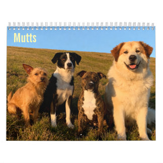 Mutts 2027 muurkalender kalender