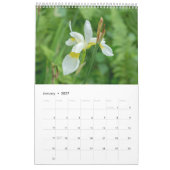 Muur 2019 van Lisa Blake Kalender (Jan 2027)