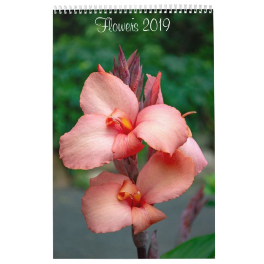 Muur 2019 van Lisa Blake Kalender (Hoes)