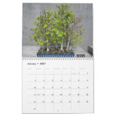Muur kalender met Bonsai (Jan 2027)
