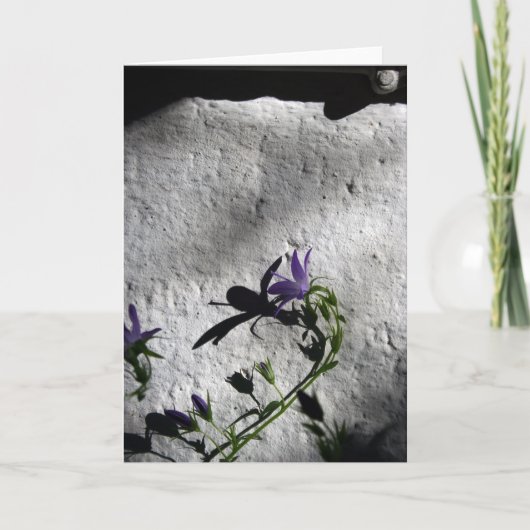 Muur met bloemen - Sympathiekaarten Bedankkaart (Voorkant)