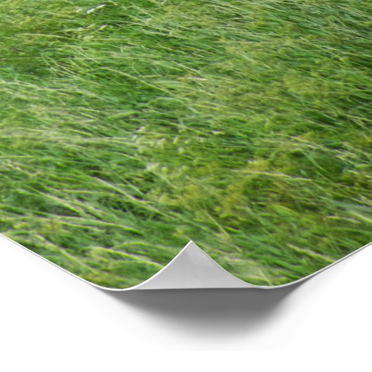 Muur van Carcassonne Poster (Hoek)