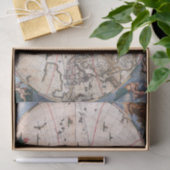 Muur van de wereld door Cornelis Danckerts Tissuepapier (Geschenk)