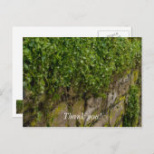 Muur van Klimop Briefkaart (Voorkant / Achterkant)