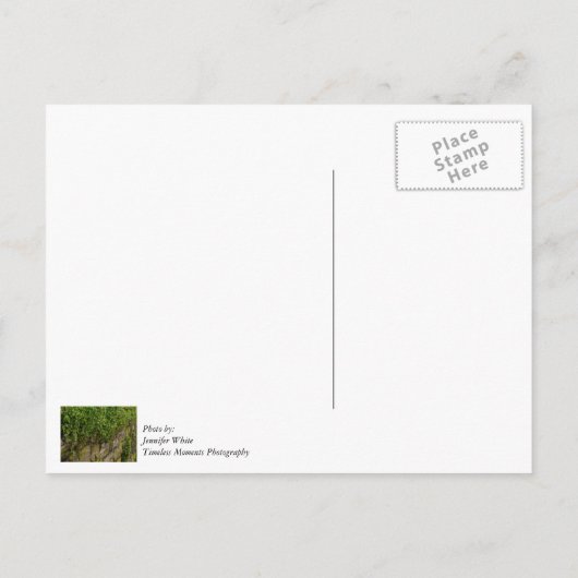 Muur van klimop briefkaart (Achterkant)