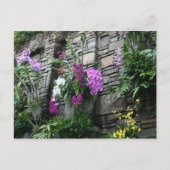 Muur van orchideeën briefkaart (Voorkant)
