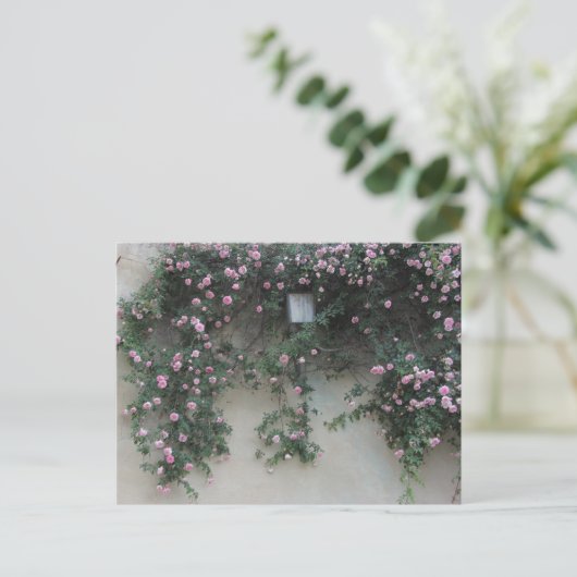 Muur van Rozen Briefkaart